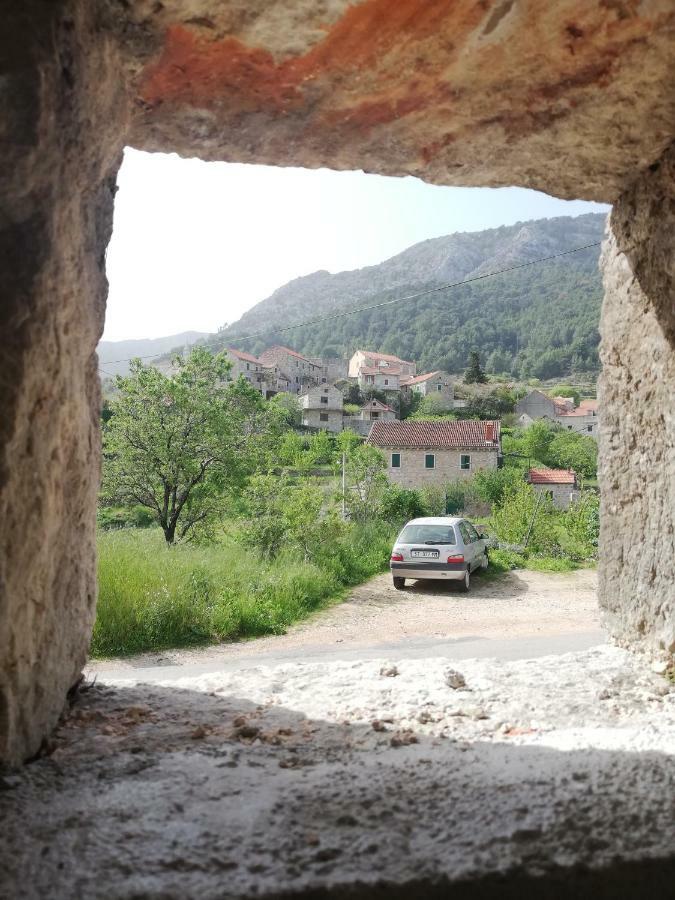 Apartman Mileta